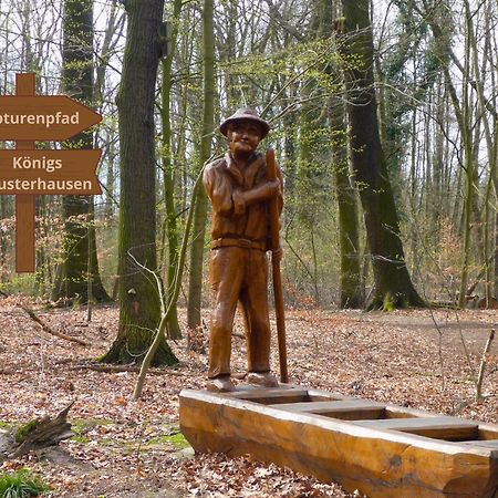 Relaxrefugium Luxus - Kueche, Arbeitsplaetze, Stellplatz & Komfort Fuer Bis 6 Gaeste Königs Wusterhausen Zewnętrze zdjęcie